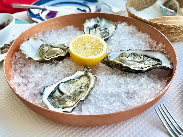 Oysters at Faro e Benfica